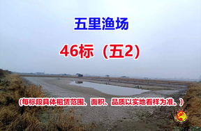 序号046：46标（五2）