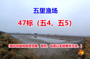 序号047：47标（五4、五5）