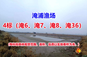 序号004：4标（淹6、淹7、淹8、淹36）