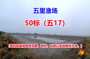 序号050：50标（五17）