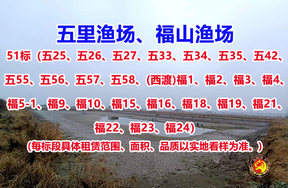 序号051：51标（五25、五26、五27、五33、五34、五35、五42、五55、五56、五57、五58、(西渡)福1、福2、福3、福4、福5-1、福9、福10、福15、福16、福18、福19、福21、福22、福23、福24）