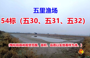 序号054：54标（五30、五31、五32）
