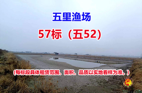 序号057：57标（五52）