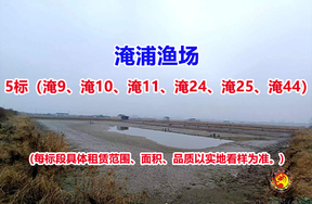 序号005：5标（淹9、淹10、淹11、淹24、淹25、淹44）