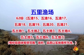 序号062：62标（五清15、五清16、五清17、五清18、五清19、五清20、五清21、五土地1、五土地2、五土地3、五土地4、五土地5、五土地6、五土地7)