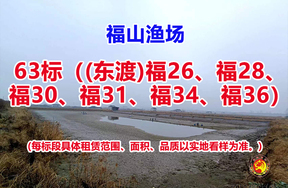 序号063：63标（(东渡)福26、福28、福30、福31、福34、福36）