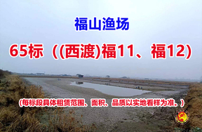 序号065：65标（(西渡)福11、福12）