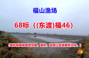序号068：68标（(东渡)福46）