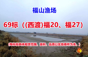 序号069：69标（(西渡)福20、福27）