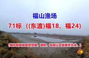 序号071：71标（(东渡)福18、福24）
