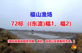 序号072：72标（(东渡)福1、福2）