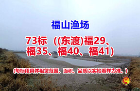 序号073：73标（(东渡)福29、福35、福40、福41）