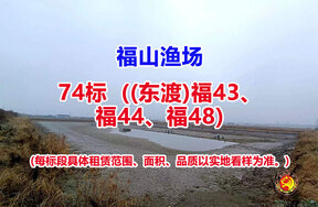 序号074：74标（(东渡)福43、福44、福48）