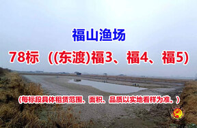 序号078：78标（(东渡)福3、福4、福5）