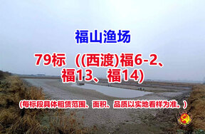 序号079：79标（(西渡)福6-2、福13、福14）