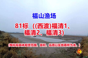 序号081：81标（(西渡)福清1、福清2、福清3）
