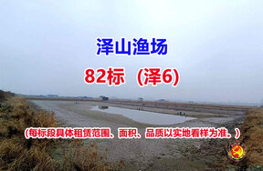 序号082：82标（泽6）