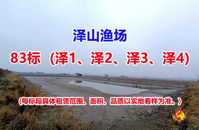 序号083：83标（泽1、泽2、泽3、泽4）