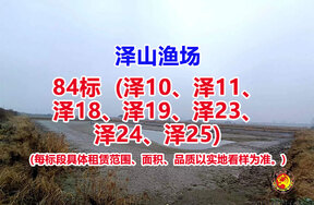 序号084：84标（泽10、泽11、泽18、泽19、泽23、泽24、泽25）