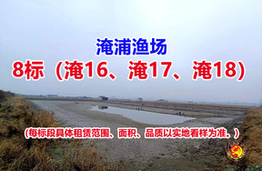 序号008：8标（淹16、淹17、淹18）
