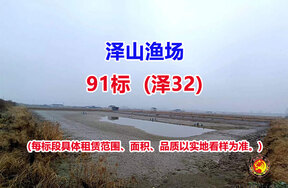 序号091：91标（泽32）