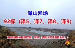 序号092：92标（泽5、泽7、泽8、泽9）