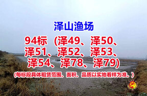 序号094：94标（泽49、泽50、泽51、泽52、泽53、泽54、泽78、泽79）