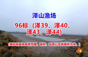 序号096：96标（泽39、泽40、泽43、泽44）