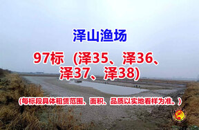 序号097：97标（泽35、泽36、泽37、泽38）