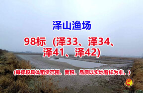 序号098：98标（泽33、泽34、泽41、泽42）