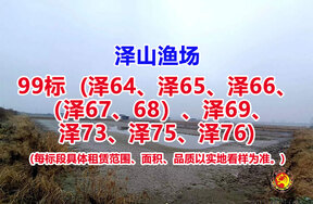 序号099：99标（泽64、泽65、泽66、（泽67、68）、泽69、泽73、泽75、泽76）