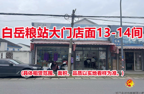 白岳粮站大门店面13-14间