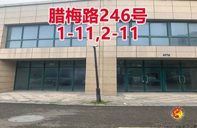 序号135：腊梅路246号
1-11,2-11