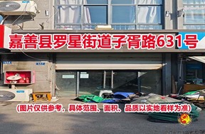 序号02：嘉善县罗星街道子胥路631号
