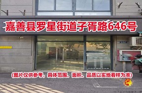 序号03：嘉善县罗星街道子胥路646号