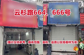 序号28：云杉路664、666号