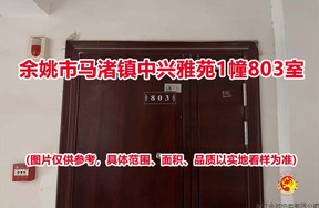 序号08：余姚市马渚镇中兴雅苑1幢803室