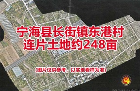 宁海县长街镇东港村连片土地约248亩承租权