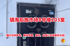 序号10：镇海后施市场8号楼203室