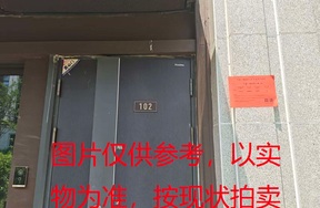 序号13：璞丽府小区，排屋5-102，258.25（含地下储藏室面积61.88）㎡