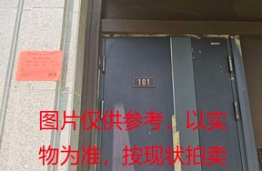 序号16：璞丽府小区，排屋6-101，282.53（含地下储藏室面积85.42）㎡