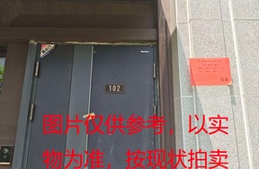 序号17：璞丽府小区，排屋6-102，256.09（含地下储藏室面积59.72）㎡