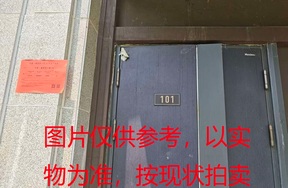 序号20：璞丽府小区，排屋7-101，259.8（含地下储藏室面积61.55）㎡