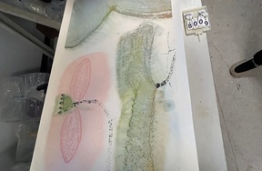 序号75，编号18009，
作者：陈家泠
作品：花鸟图