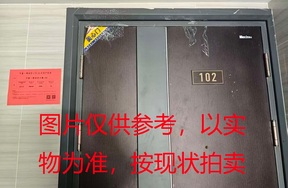 璞丽府小区，洋房9-102，125.04㎡