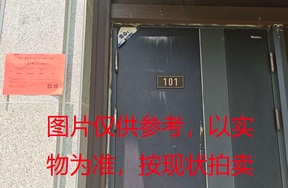 璞丽府小区，排屋5-101，254.54（含地下储藏室面积57.43）㎡