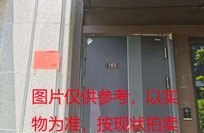 璞丽府小区，排屋5-103，258.25（含地下储藏室面积61.88）㎡