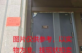 璞丽府小区，排屋6-103，258.09（含地下储藏室面积61.72）㎡