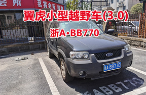 序号21:翼虎小型越野车(3.0)浙ABB770