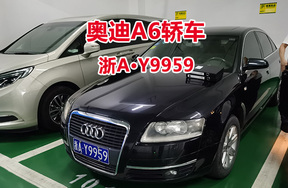 序号29:奥迪A6轿车浙AY9959